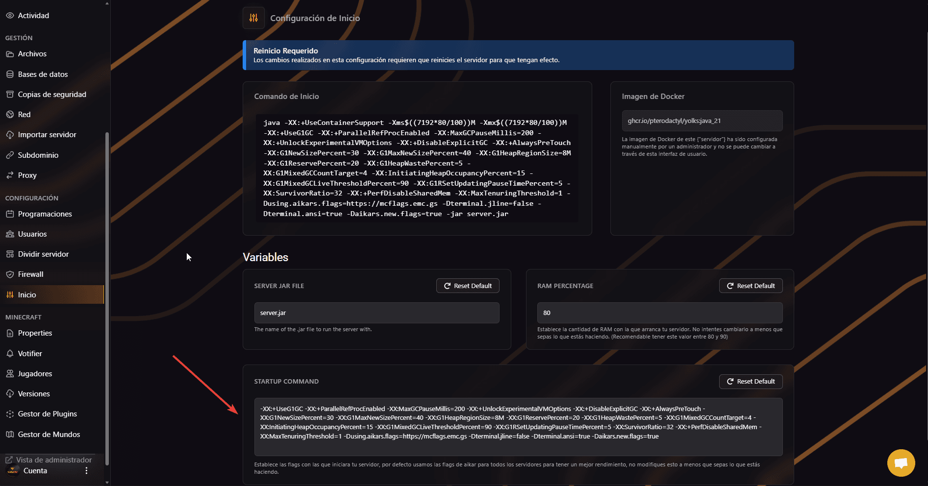 Startup Command