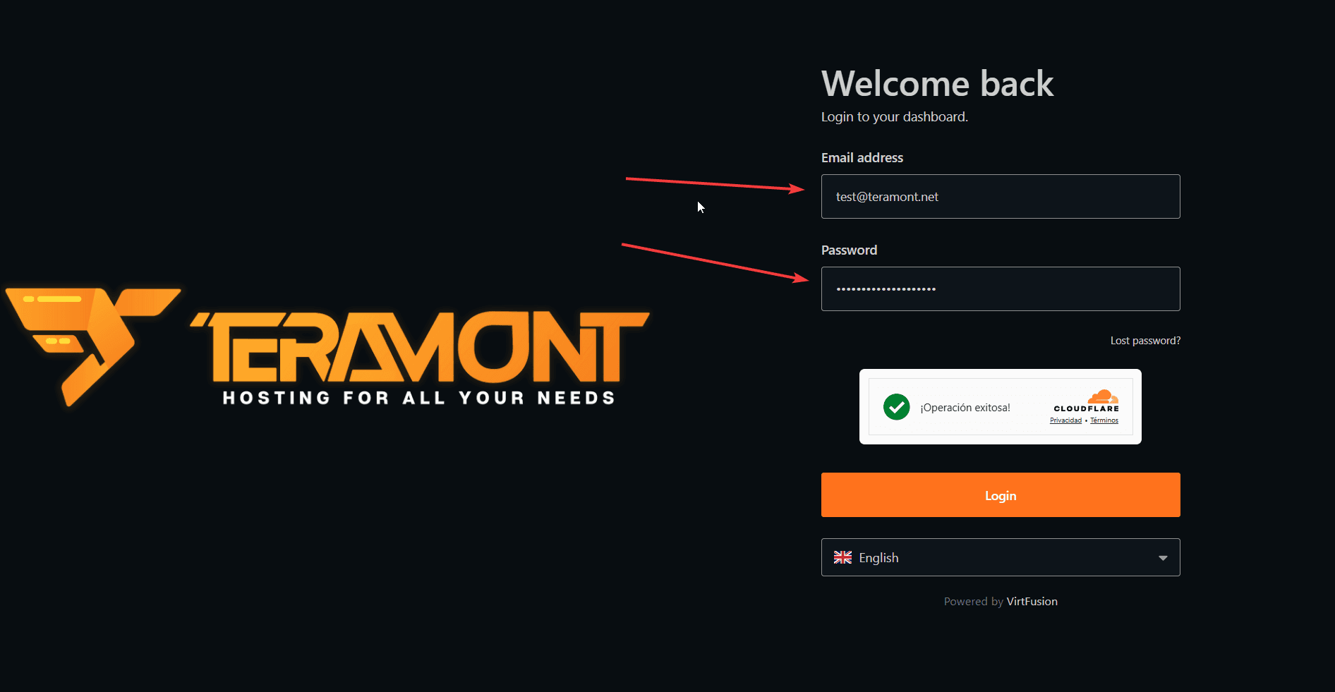 Login VPS