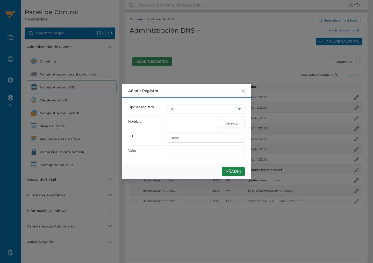 Formulario para agregar un registro DNS